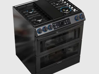 Dual Fuel Range Samsung 3D model