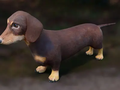  Dachshund Low Poly - Game Ready 