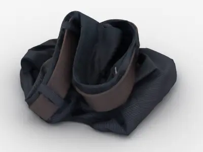 Crumpled Shorts 3D model