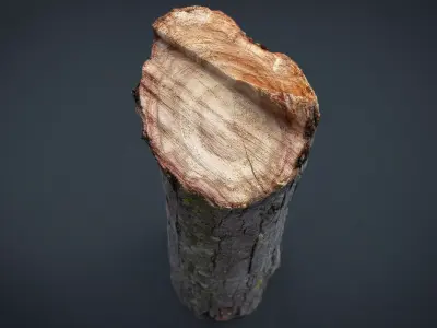 Wood Log 2 Low-poly 3D model