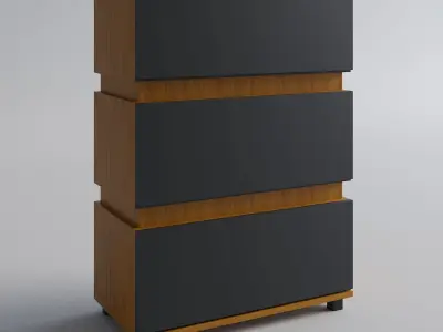 Wood furniture with matt doors concept 3D Model Pack