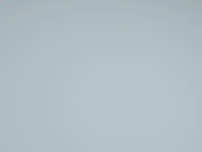 Twitter Logo with Animation 3D 3D model