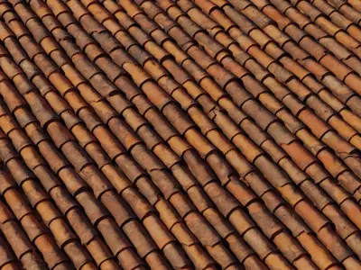 Aged Terracotta Roof Tiles  Texture