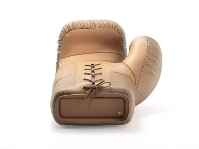 DS 2878 09 10 Boxing Glove Lounge 3D model