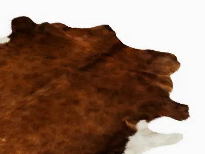 European Rug Cowhide Brown and White 3D model