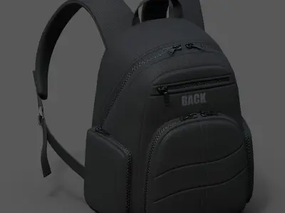 Backpack Camping bag baggage Color  Low-poly 3D model purchase