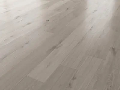 Wood Floor Set 22 Texture