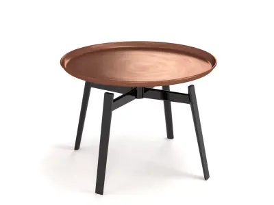 Husk Table 3D model