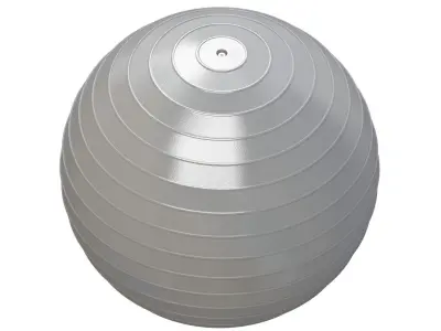 Yoga Ball gray 3D model