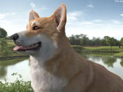  Pembroke Welsh Corgi Dog Sitting Pose Fur for Cinema 4D 