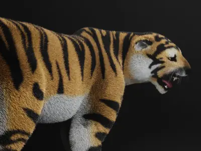 TIGER  RIGGED - ANIMATED 3D model purchase