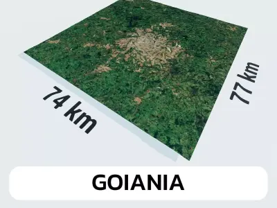 Goiania Brazil City Landscape 3D Model 3D model