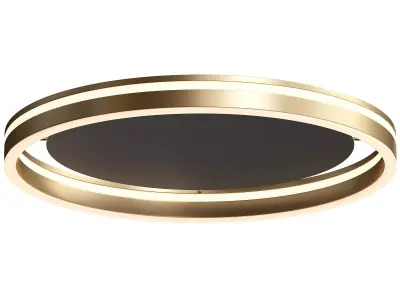 Paul Neuhaus Q-VITO LED ceiling lamp 3D model