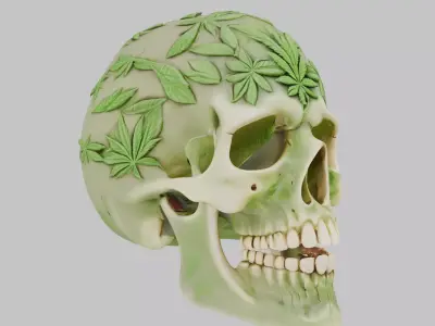 High Quality Detailed Skull 3D Model Low-poly 3D model