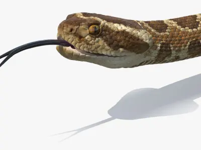  Light Rattlesnake Crawls Animated Rigged for Maya 