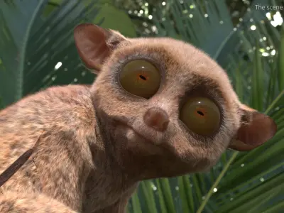  Alert Sitting Tarsier Fur for Maya 