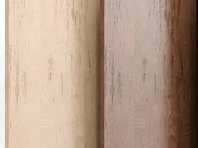 Wood 19 With 3 Materials Texture