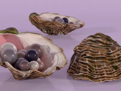  Colored Oyster Shell with Pearls 
