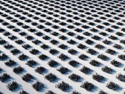 Eco parking tile 1 3D model