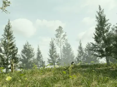 Ultra Realistic FOREST 3D model