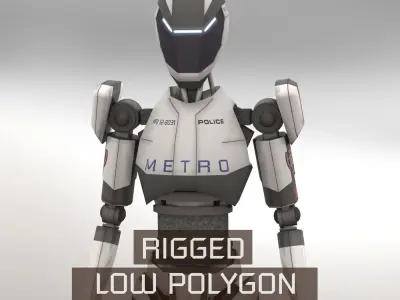 Robots Rigged Low Poly 3D Model Pack
