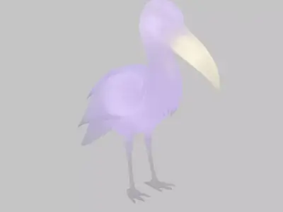 Indirect lighting for Shoebill 3D model