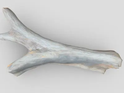 Dead Wood 3 Low-poly 3D model