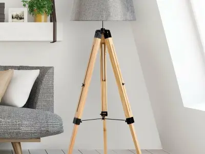Mesquite 143cm Tripod Floor Lamp 2 Option 3D model