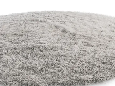 Cozy Fur Carpet 3D model
