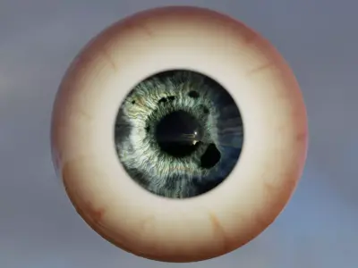 PROCEDURAL EYE BALL  3D model