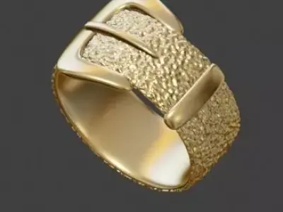 Belt Ring 3D print model