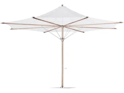 Tensile Parasol 3D model