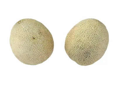 Melons 7 Models