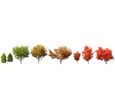 Autumn Colors Collection Pack 06 3D model