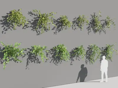  Epipremnum Aureum (+GrowFX) 