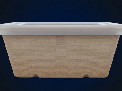 Box Food Cardboard Container - Disposable 3D model