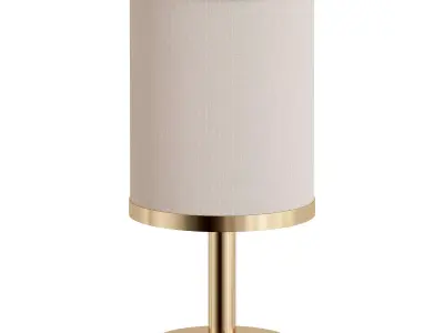 SHADY brass table lamp with shade 3D model