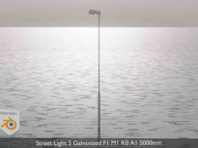Street Light 5 Galvanized F1 M1 K0 A1 5000mm  Low-poly 3D model