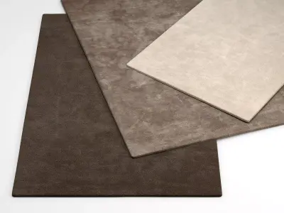 O three rugs 3D model