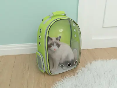  Longhaired Cat in Hard Shell Travel Backpack Fur for Cinema 4D 