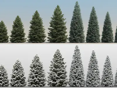  10 Christmas Trees with snow 