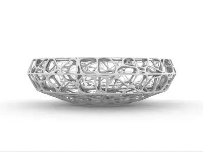 Modern Organic Lattice Bowl -Parametric Decorative Vase  Free 3D model