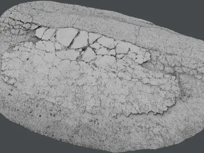 Roadcracks03 asphalt texture - asphalt texture 3D model