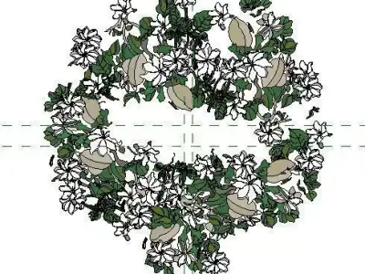 Gardenia thunbergia Forest Gardenia Free 3D model