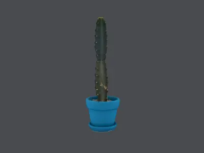 Potted cactus plant Low-poly 3D model