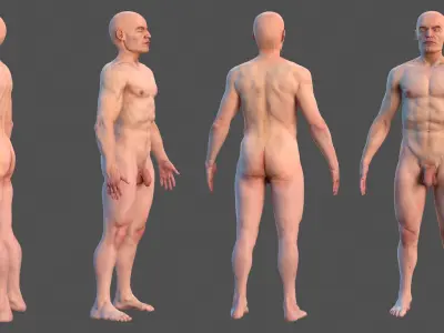  Male Body Anatomy Collection 