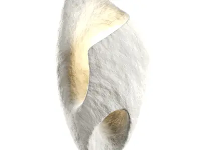 Ma Sconce Bra Low-poly 3D model