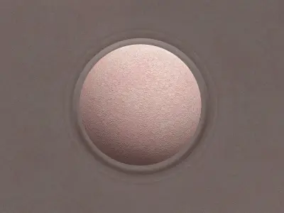 DRAGON PBR Tongue Texture