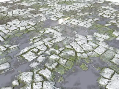 Old Mossy Floor Seamless 4 PBR Texture