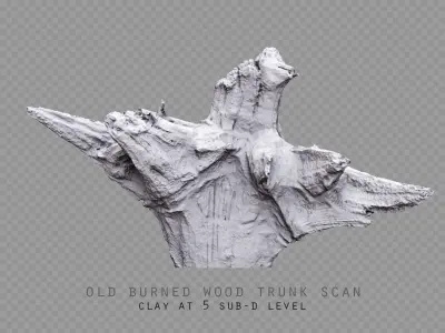 old burned wood trunk Low-poly 3D model